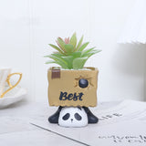 Naughty Panda play with carton funny flower pot