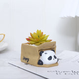 Naughty Panda play with carton funny flower pot