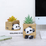 Naughty Panda play with carton funny flower pot