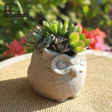 Owl shape flower pot