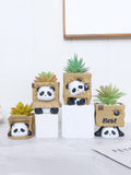 Naughty Panda play with carton funny flower pot