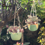 Corn Mango pot hanging flower bonsai