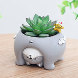 Cute Animal Flowerpot Animal Resin Succulent Planter Desk Mini Ornament (Pig)