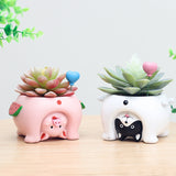 Cute Animal Flowerpot Animal Resin Succulent Planter Desk Mini Ornament (Pig)