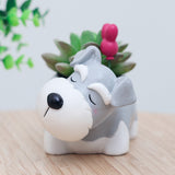 Corgi Gift Planter Flowerpot Resin Succulent Planter Desk Mini Ornament (Crogi Dog)