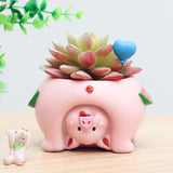 Cute Animal Flowerpot Animal Resin Succulent Planter Desk Mini Ornament (Pig)