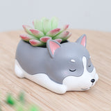 Corgi Gift Planter Flowerpot Resin Succulent Planter Desk Mini Ornament (Crogi Dog)