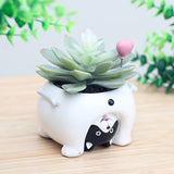 Cute Animal Flowerpot Animal Resin Succulent Planter Desk Mini Ornament (Pig)