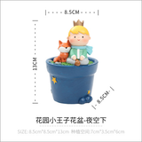 Little prince flower pot