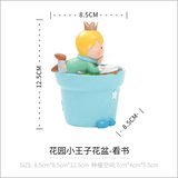 Little prince flower pot