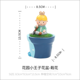 Little prince flower pot